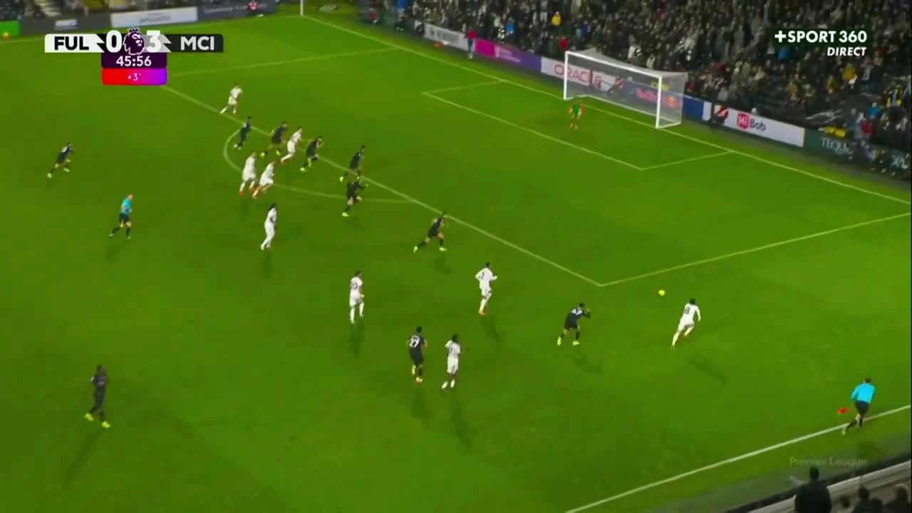 zaslepka skrotu video