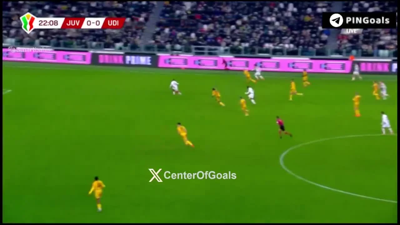 zaslepka skrotu video