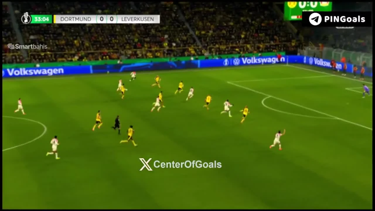 zaslepka skrotu video