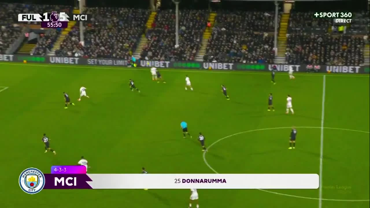 zaslepka skrotu video