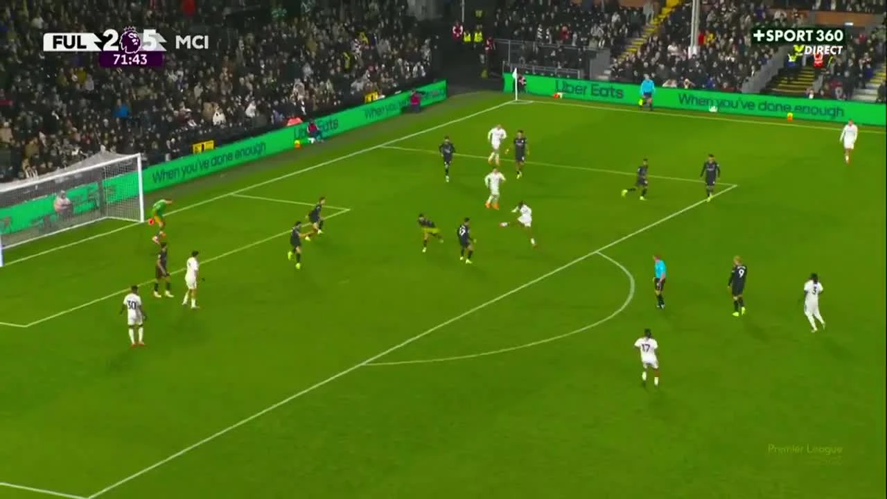 zaslepka skrotu video