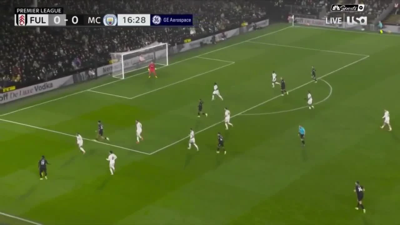 zaslepka skrotu video