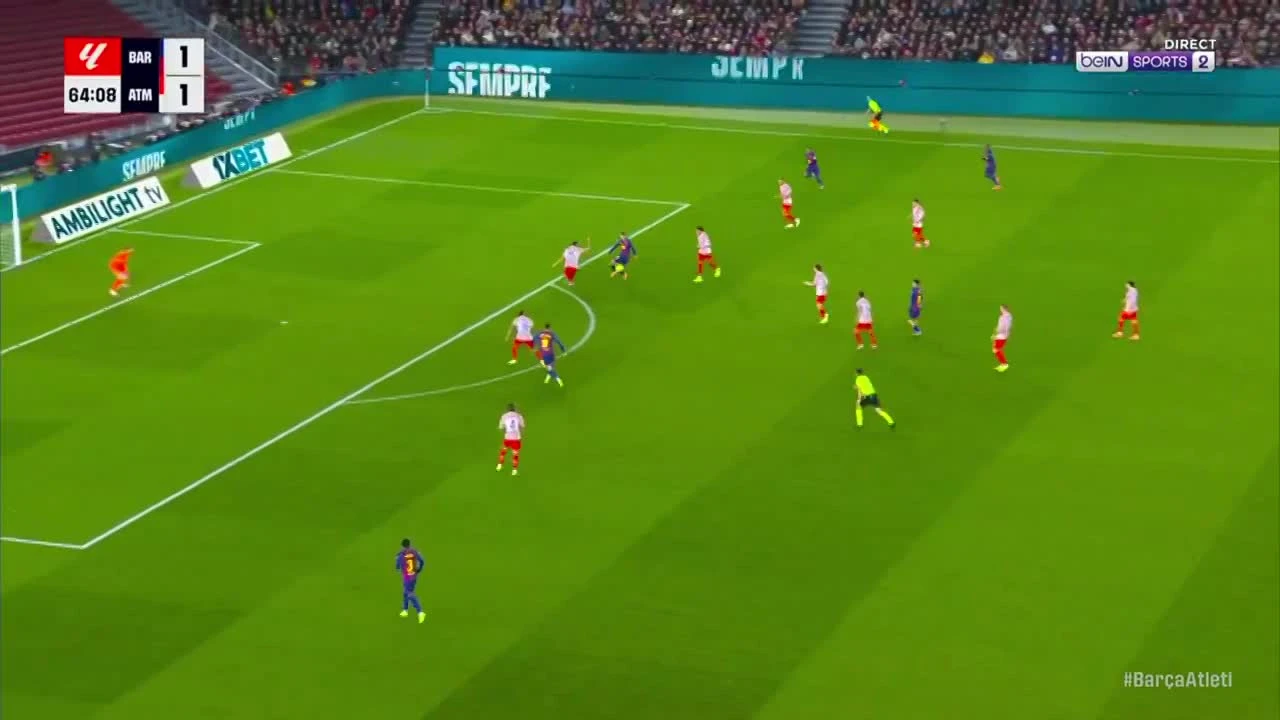 zaslepka skrotu video