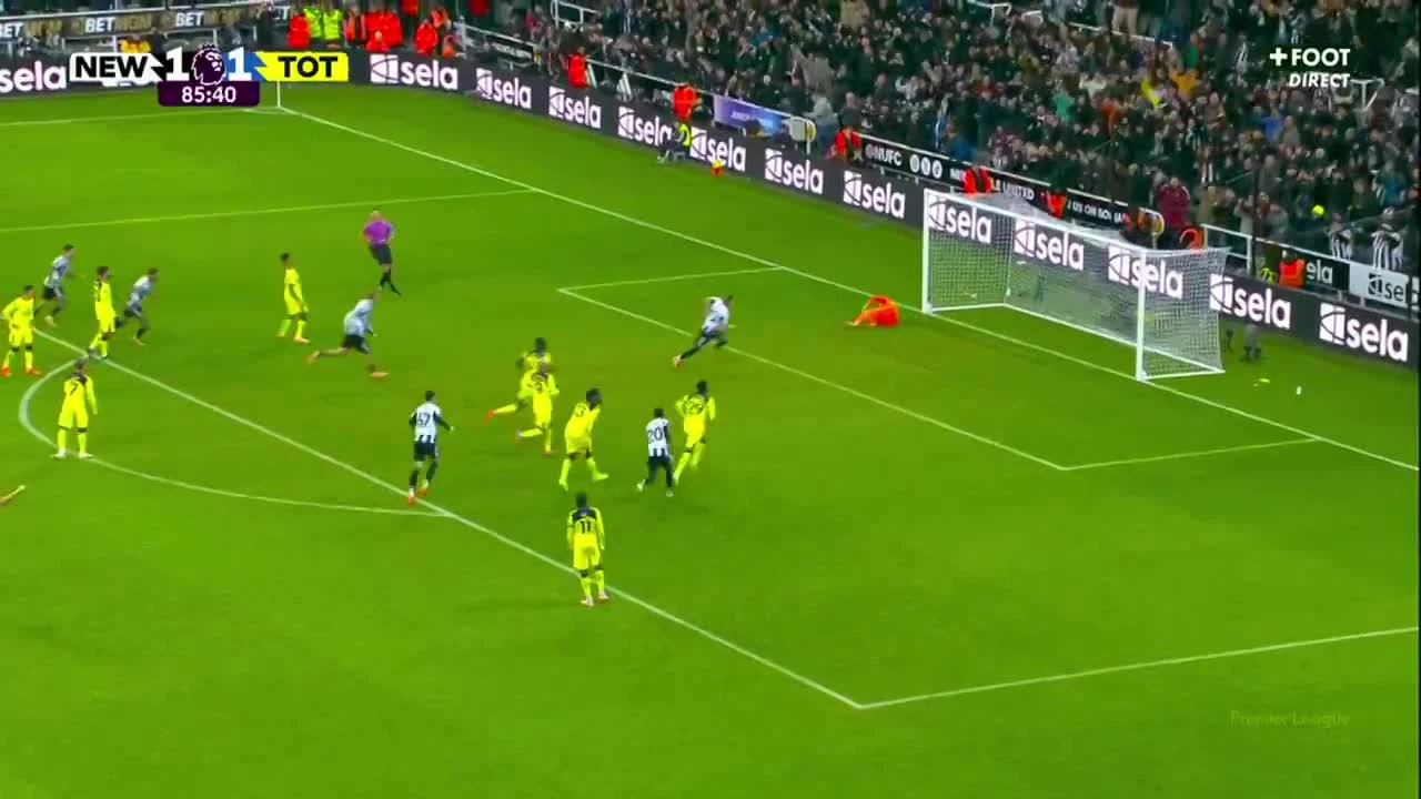 zaslepka skrotu video