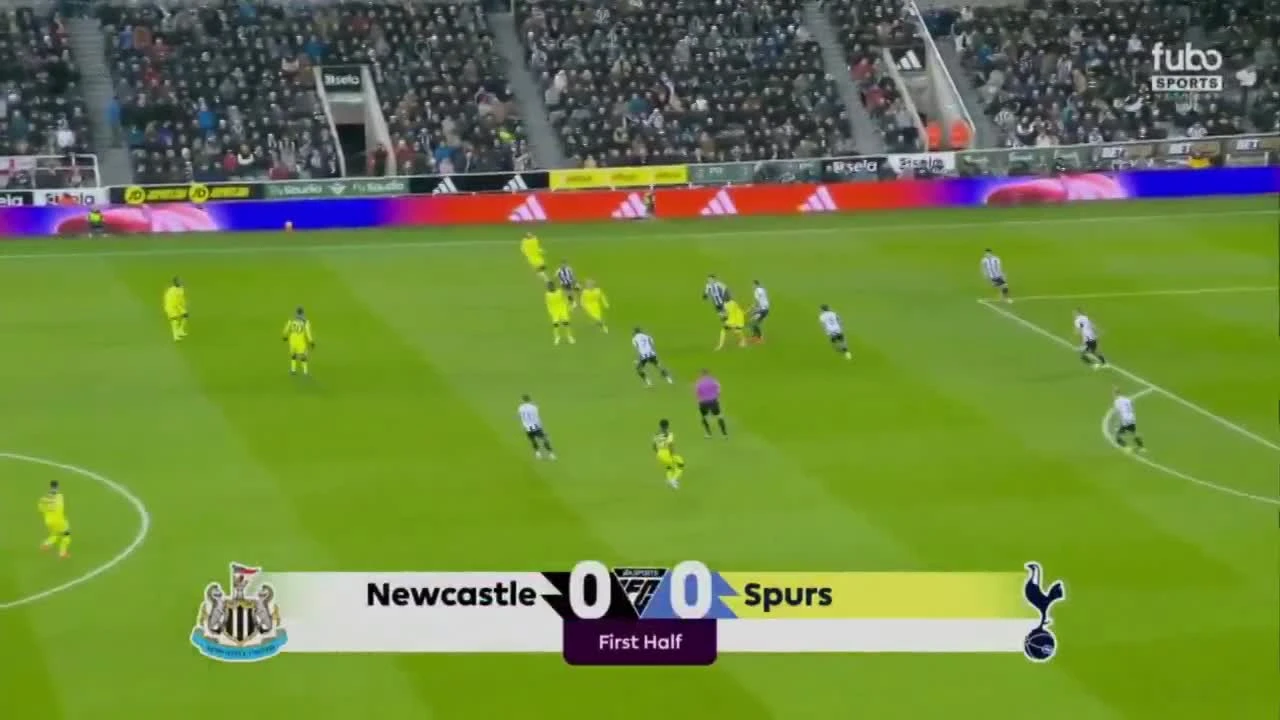 zaslepka skrotu video