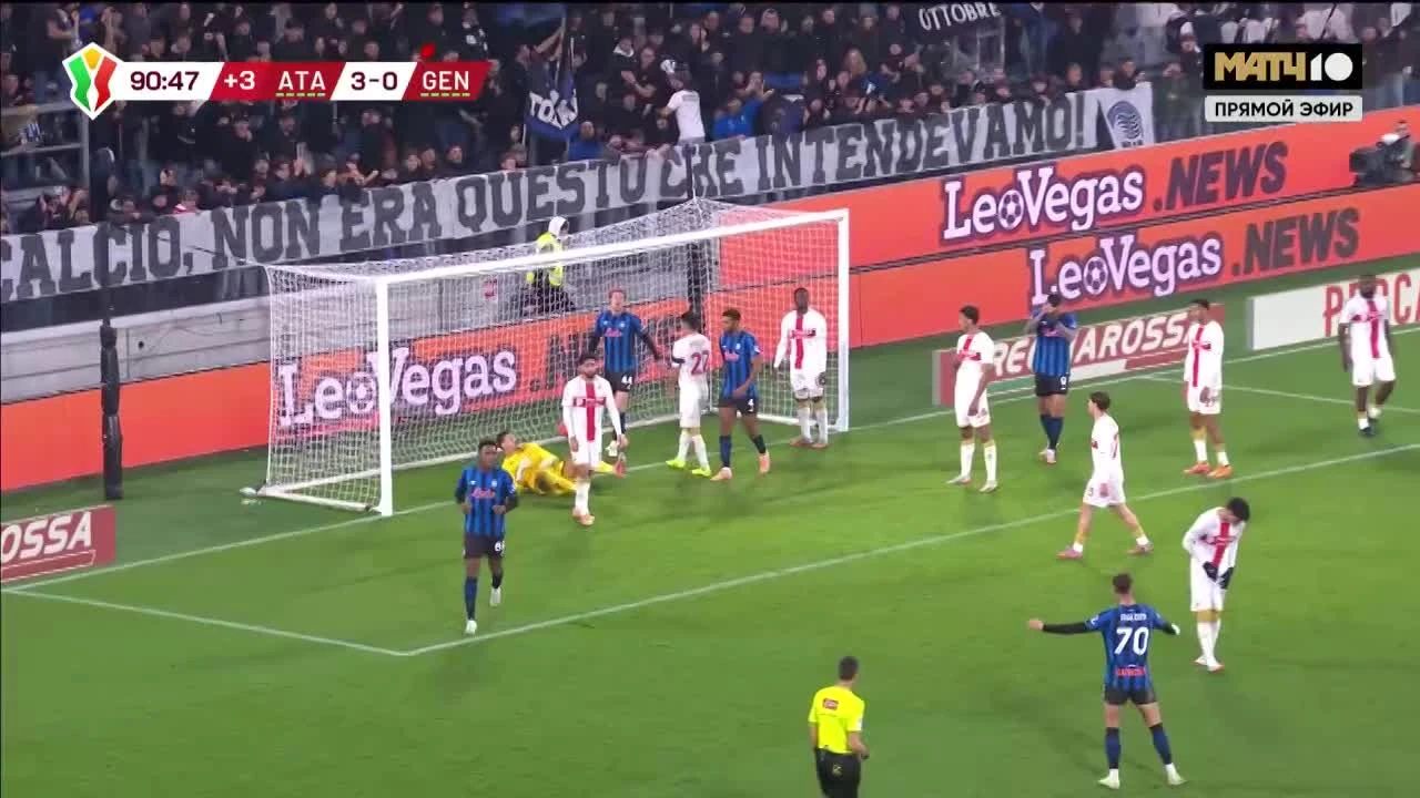 zaslepka skrotu video