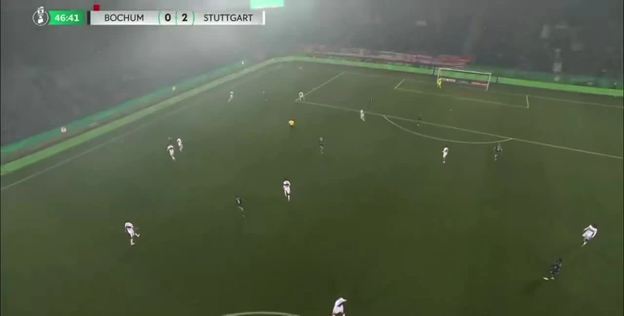 zaslepka skrotu video