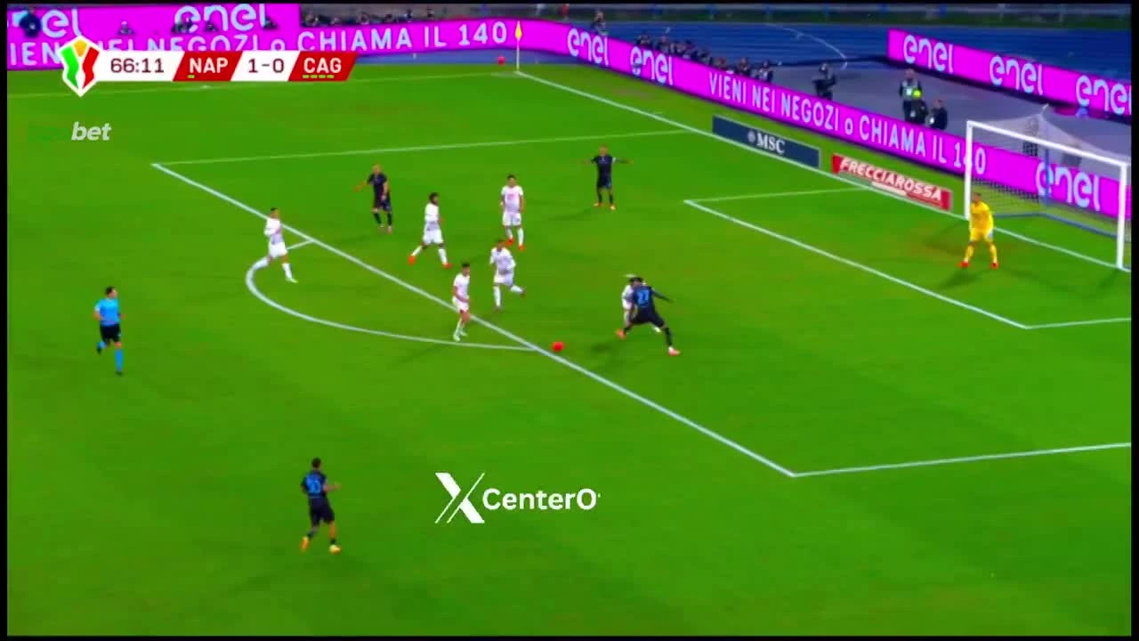 zaslepka skrotu video