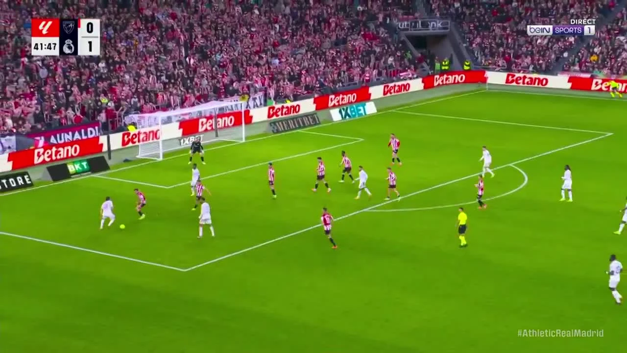 zaslepka skrotu video