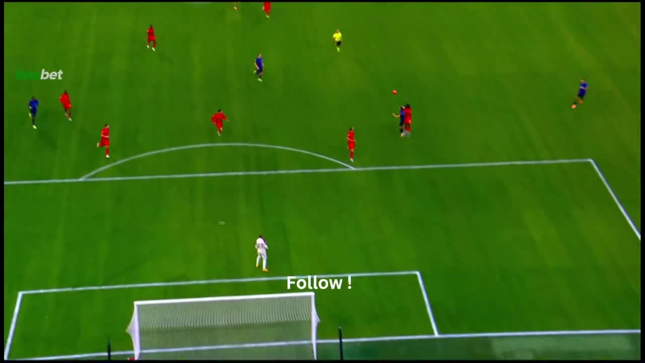 zaslepka skrotu video