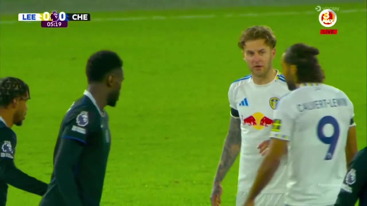 zaslepka skrotu video