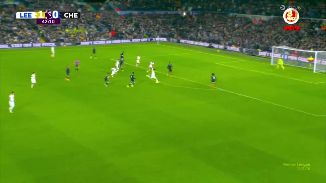 zaslepka skrotu video