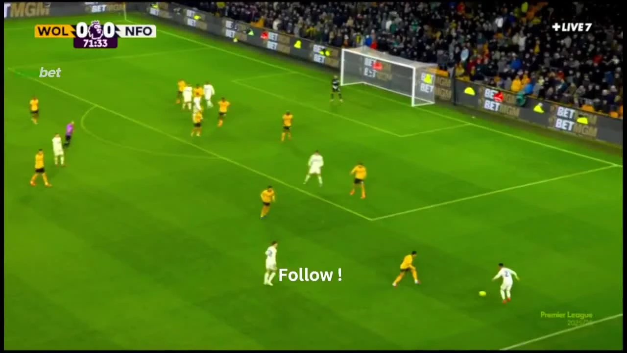 zaslepka skrotu video