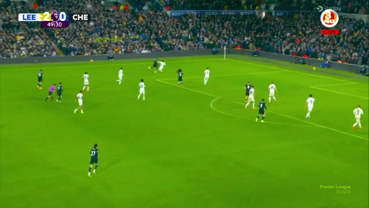 zaslepka skrotu video