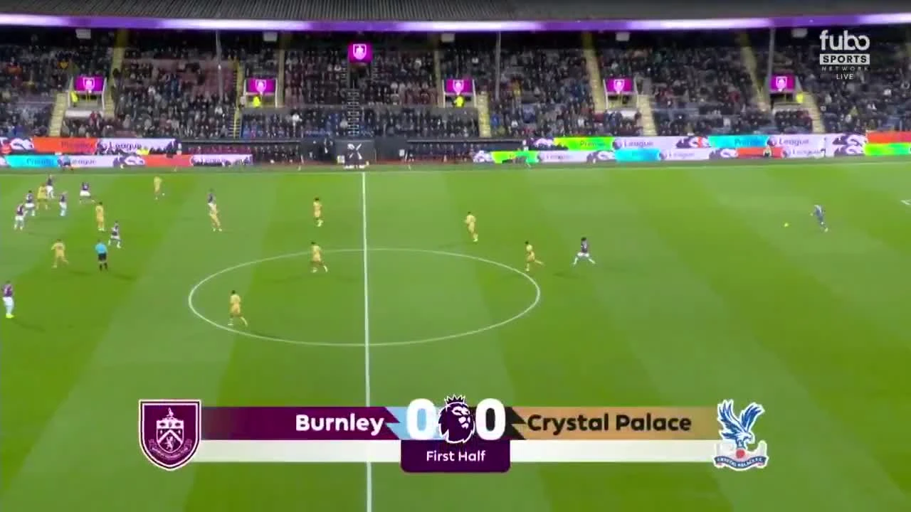 zaslepka skrotu video