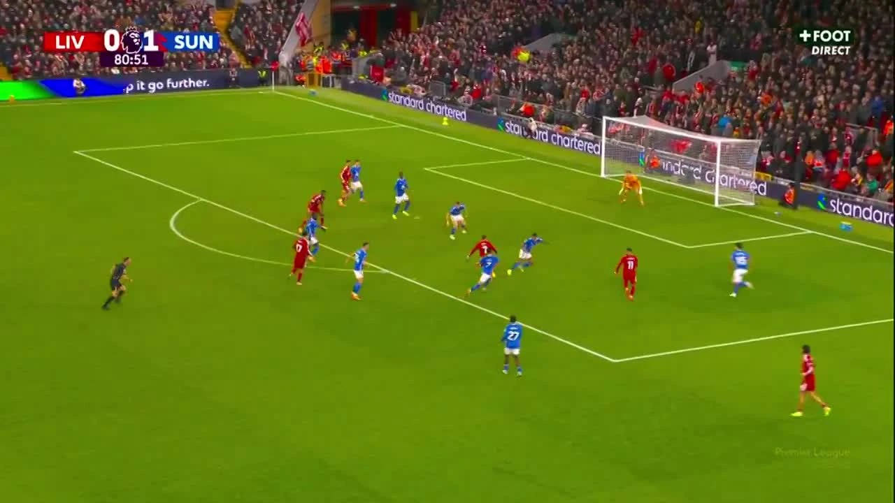 zaslepka skrotu video