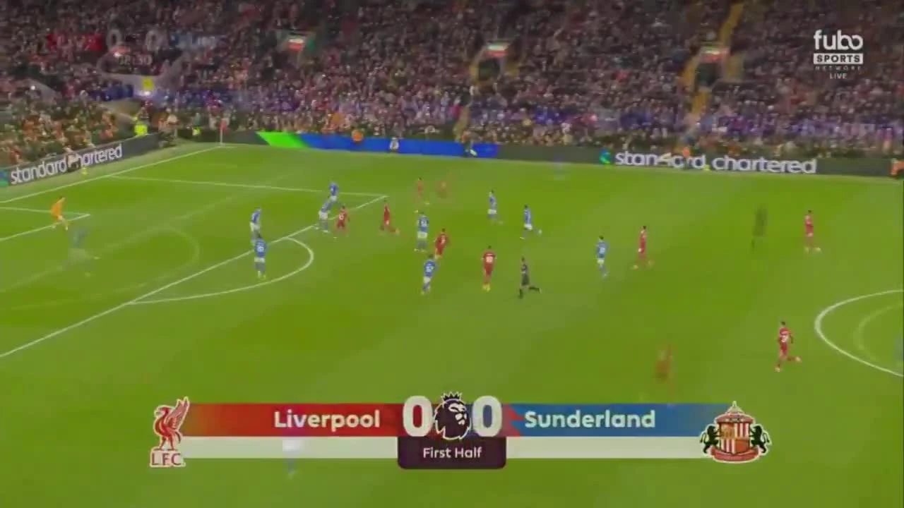 zaslepka skrotu video