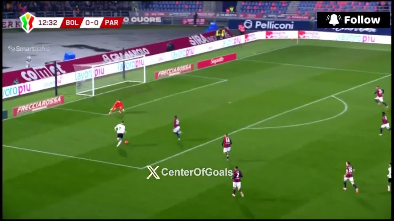 zaslepka skrotu video