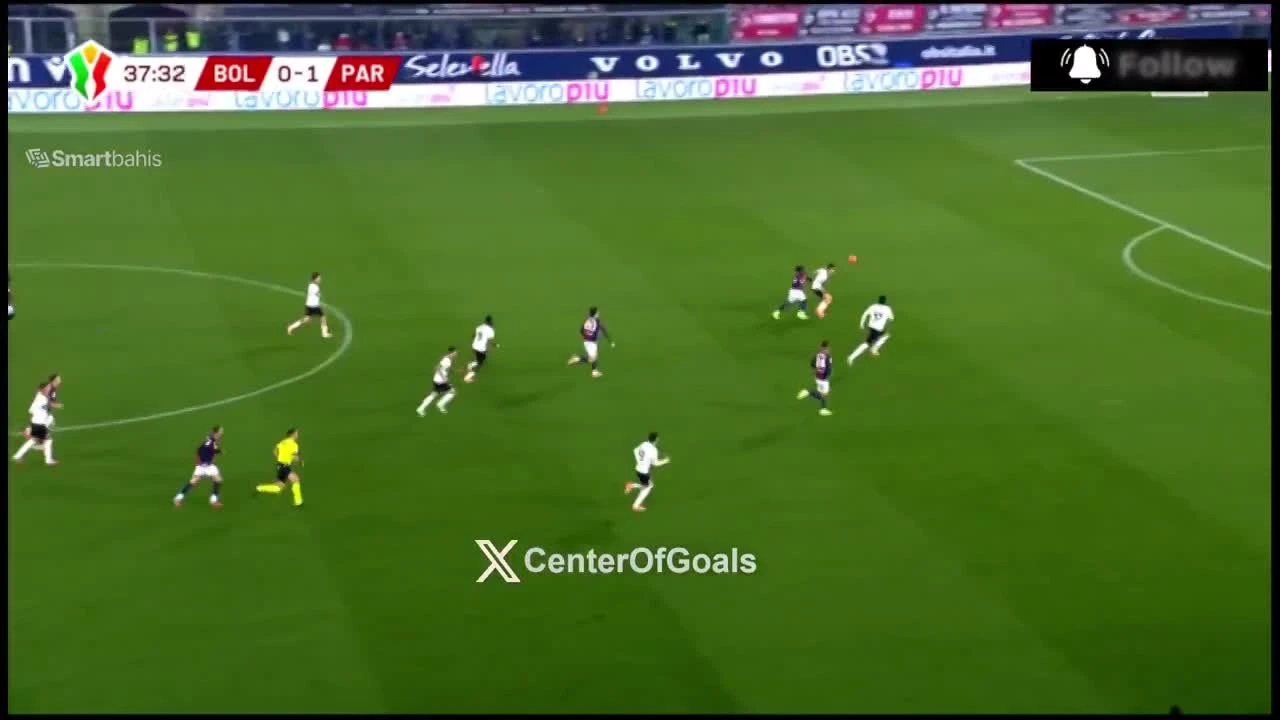 zaslepka skrotu video