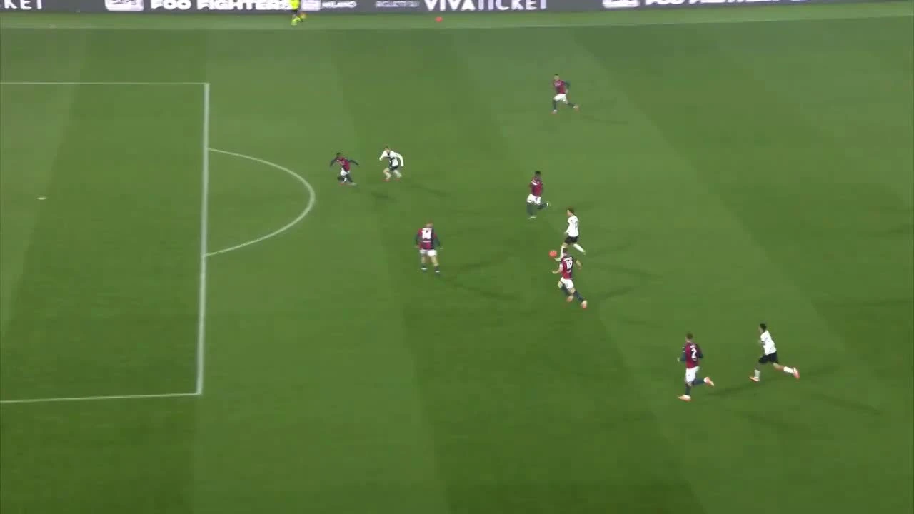 zaslepka skrotu video