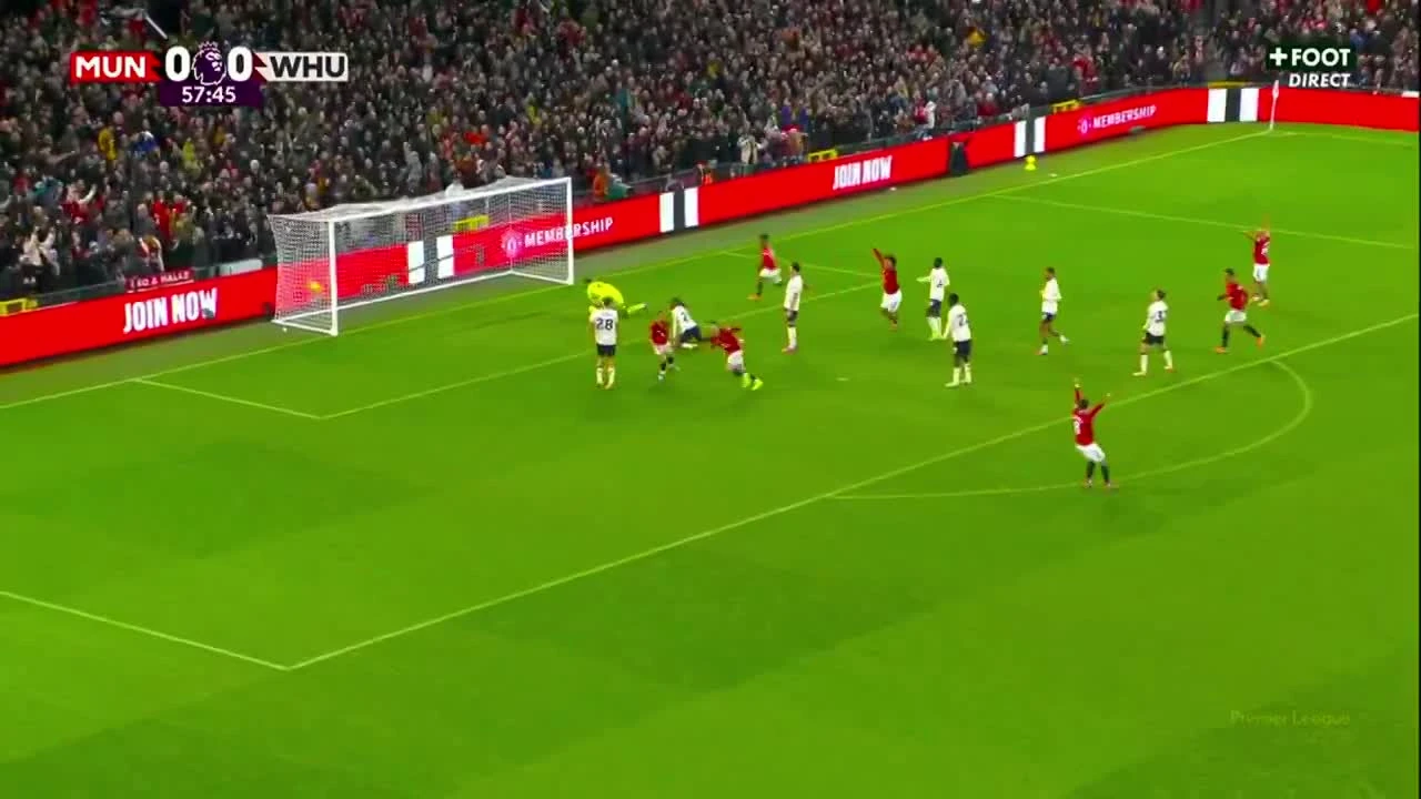 zaslepka skrotu video