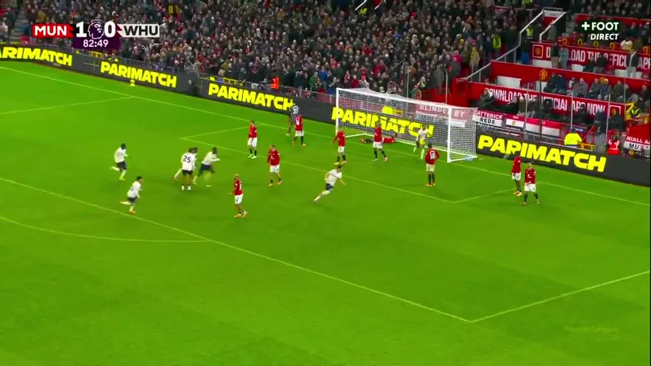 zaslepka skrotu video