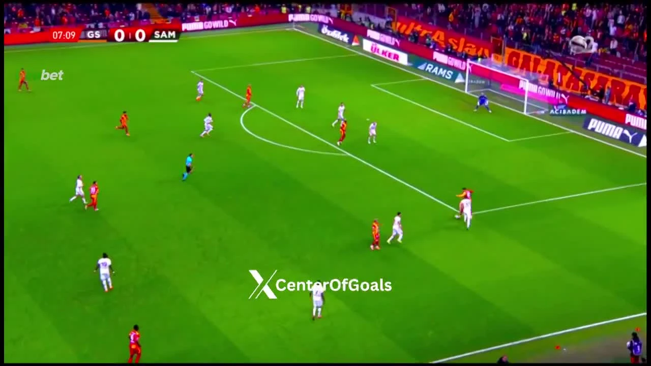 zaslepka skrotu video