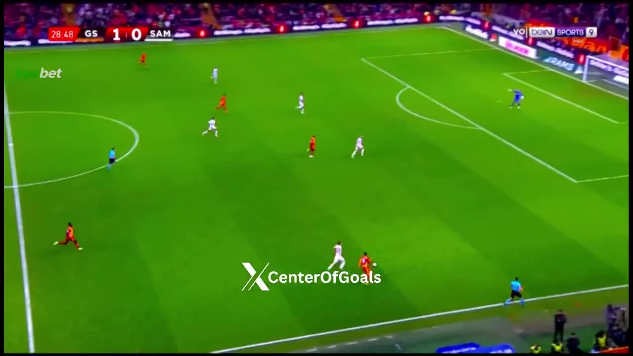 zaslepka skrotu video