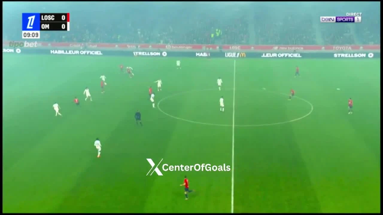 zaslepka skrotu video