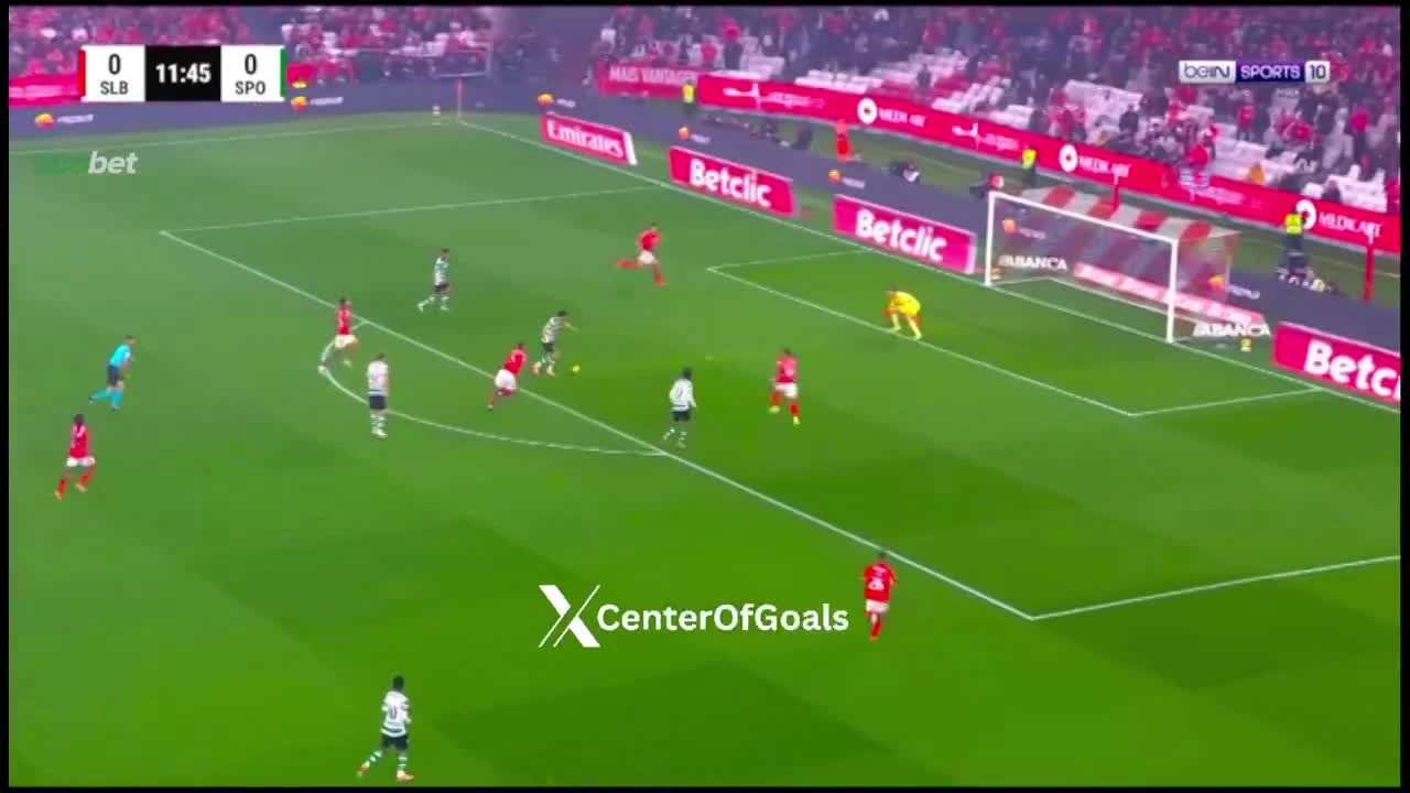 zaslepka skrotu video