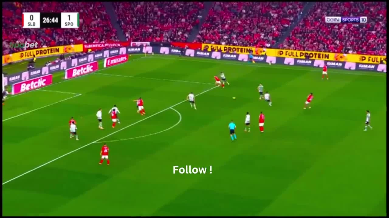 zaslepka skrotu video