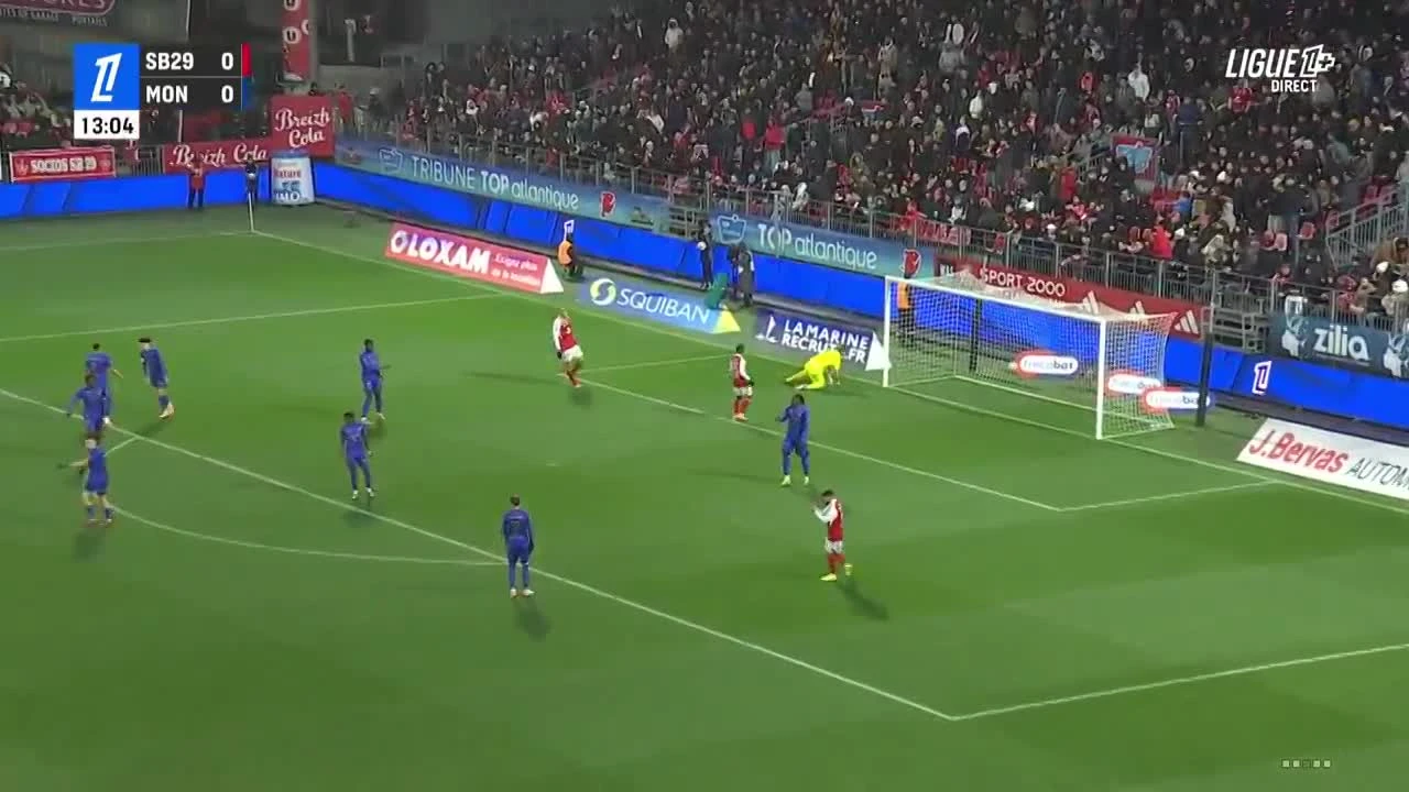 zaslepka skrotu video