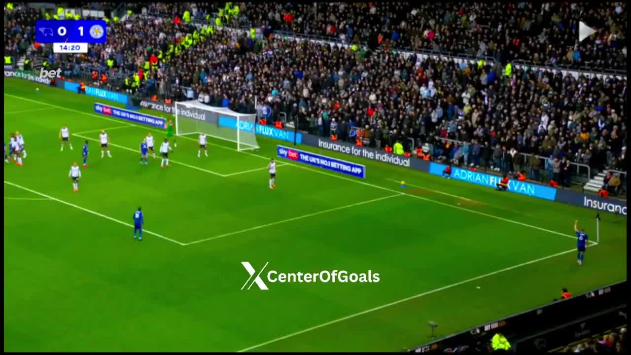 zaslepka skrotu video