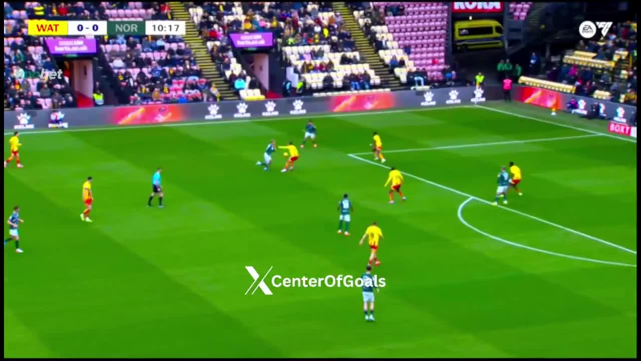 zaslepka skrotu video