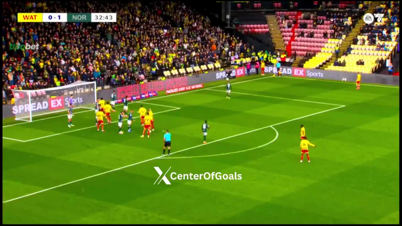 zaslepka skrotu video