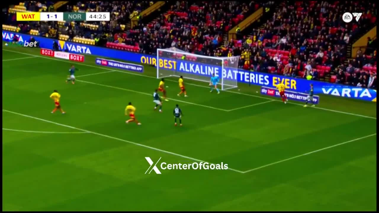 zaslepka skrotu video