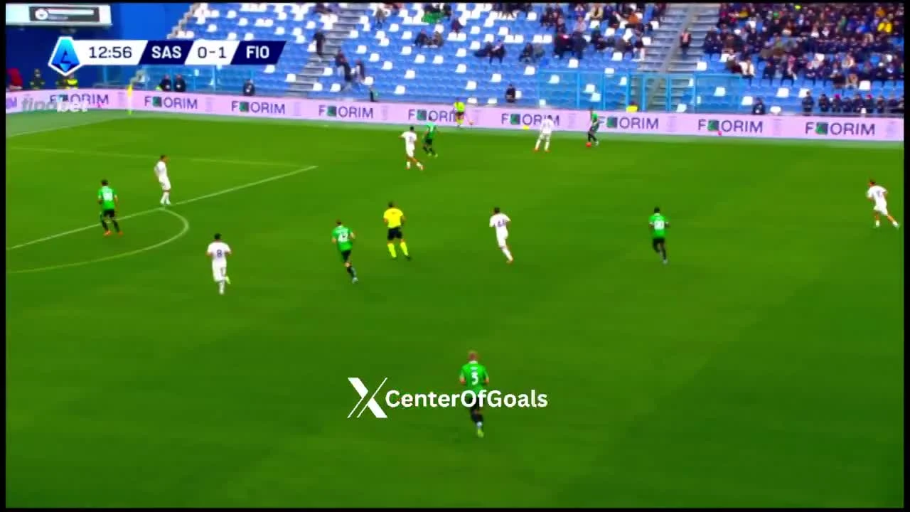 zaslepka skrotu video