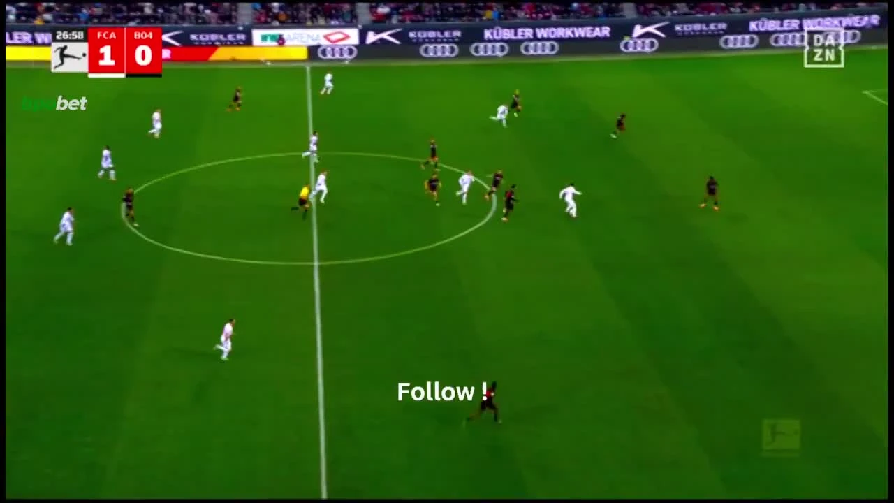 zaslepka skrotu video