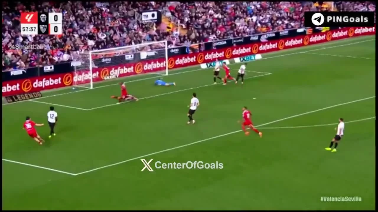 zaslepka skrotu video