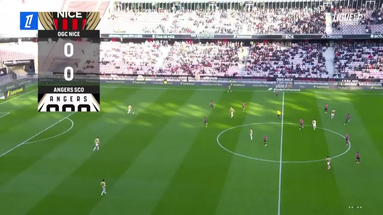 zaslepka skrotu video