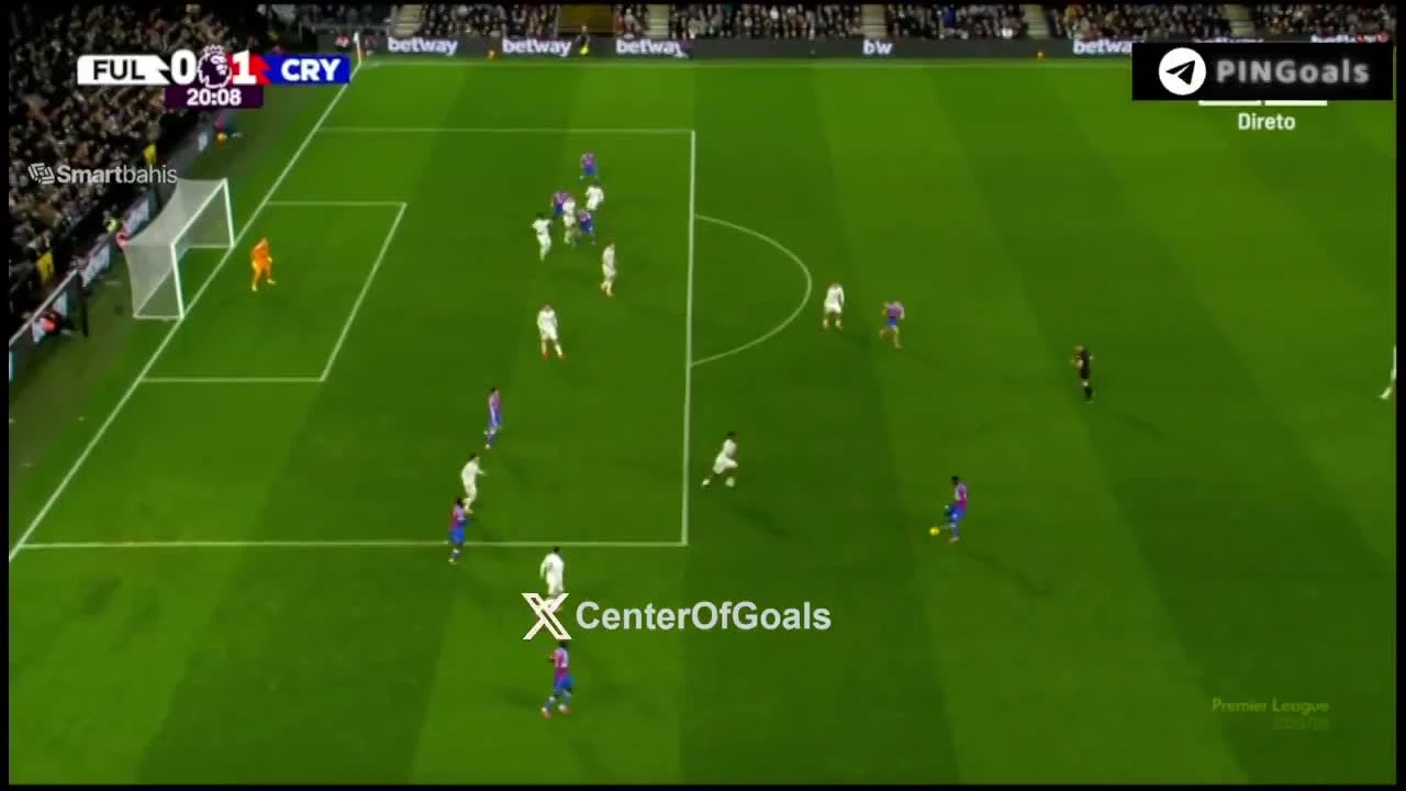 zaslepka skrotu video