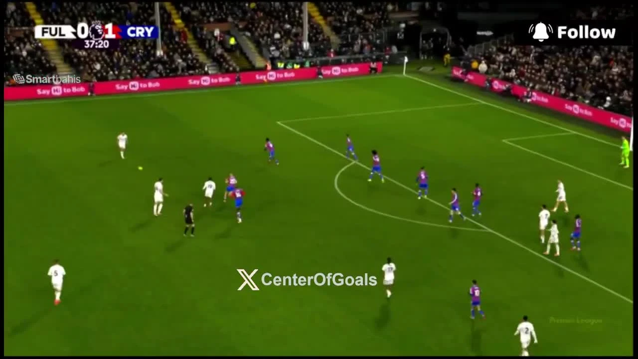 zaslepka skrotu video