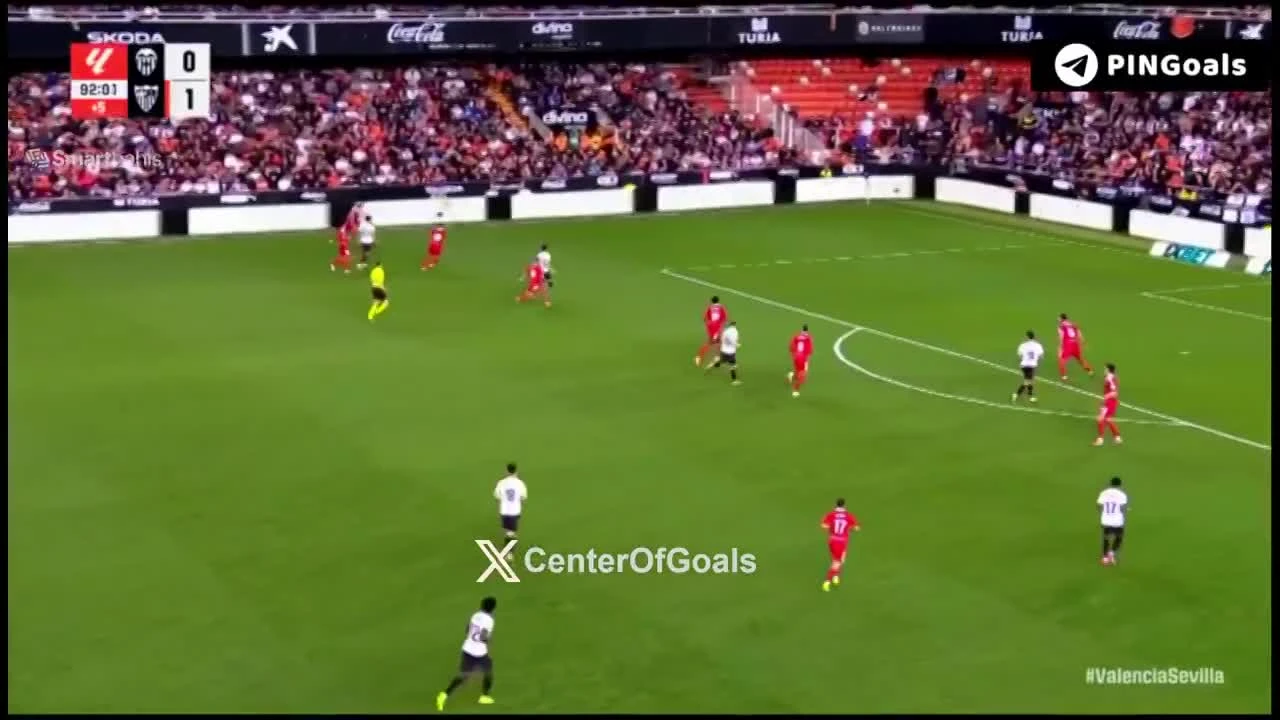 zaslepka skrotu video