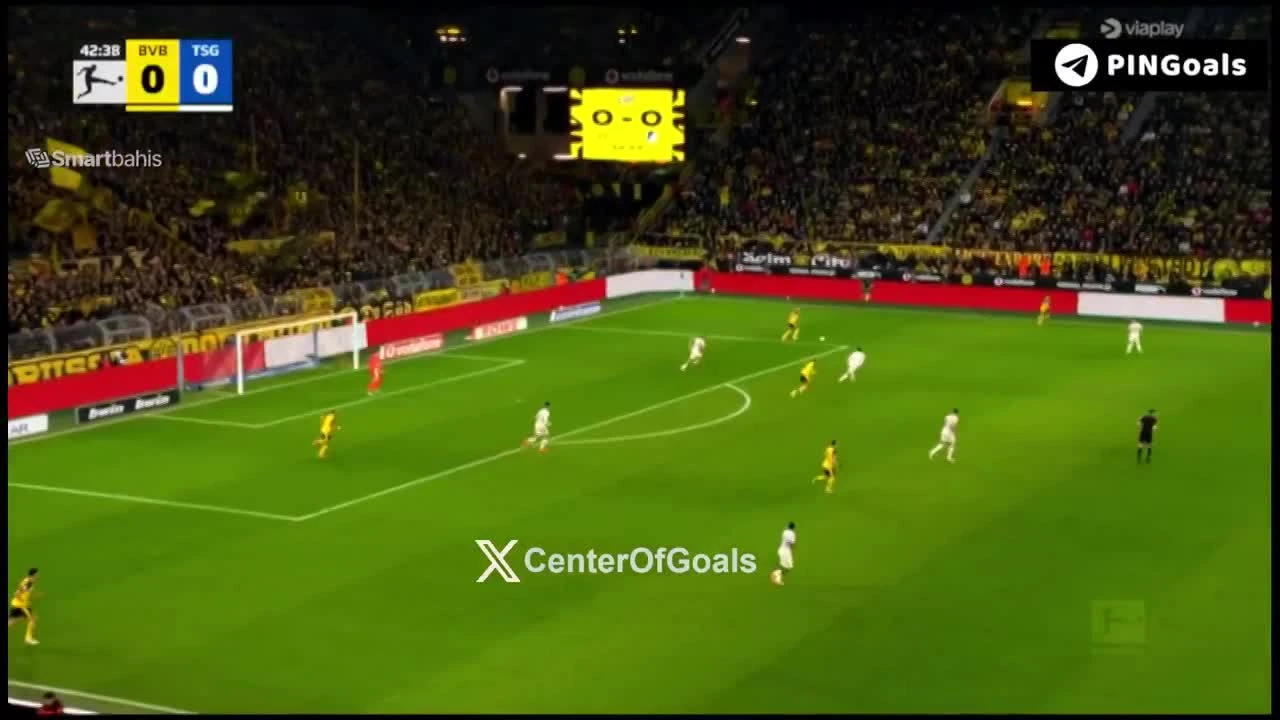 zaslepka skrotu video