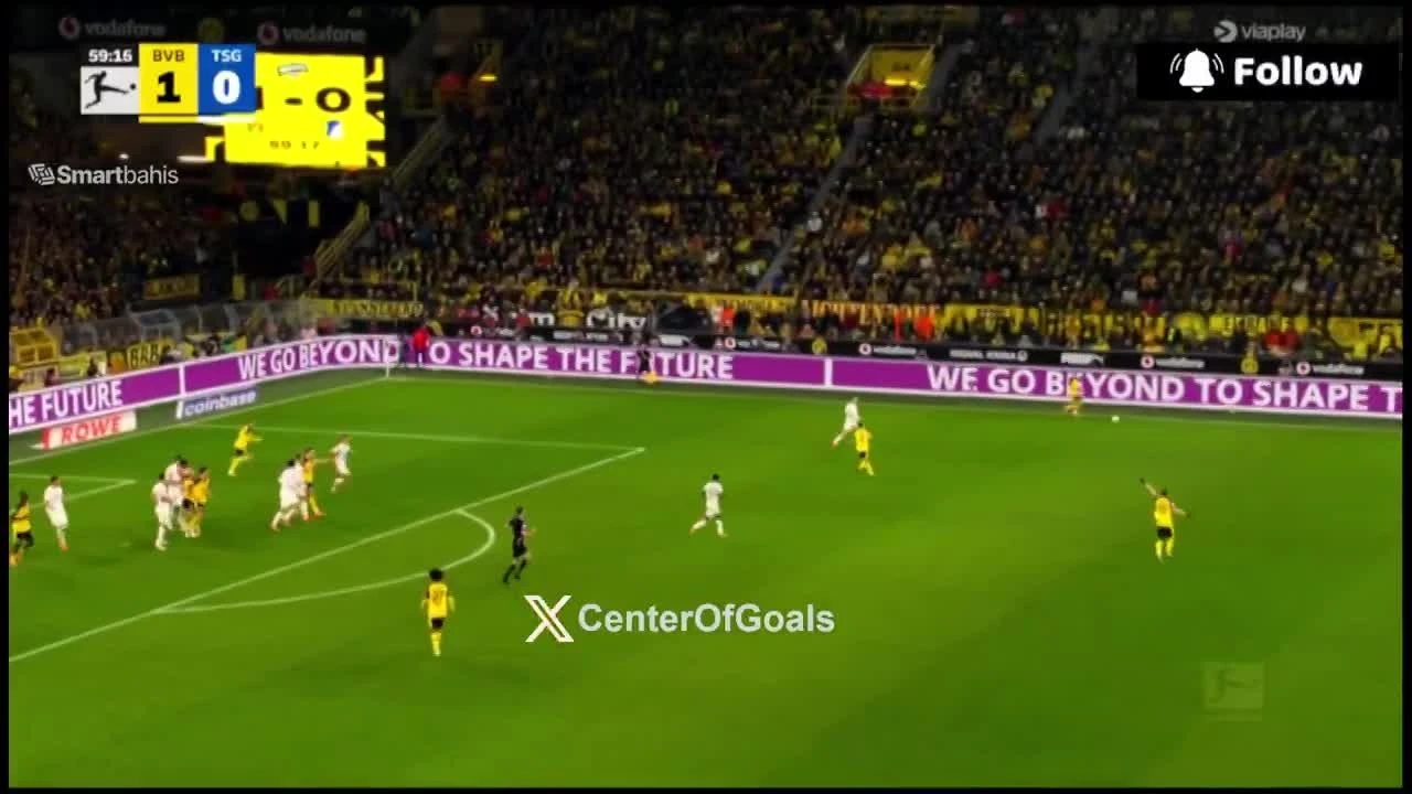 zaslepka skrotu video