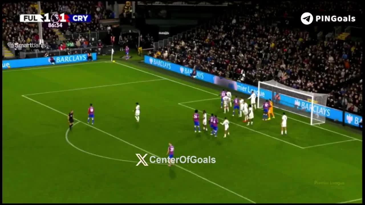 zaslepka skrotu video