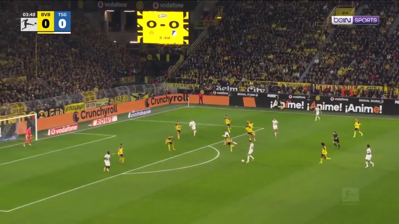 zaslepka skrotu video