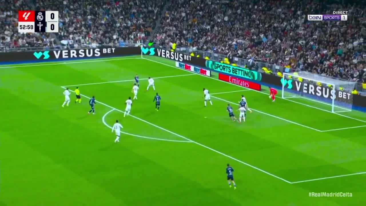 zaslepka skrotu video