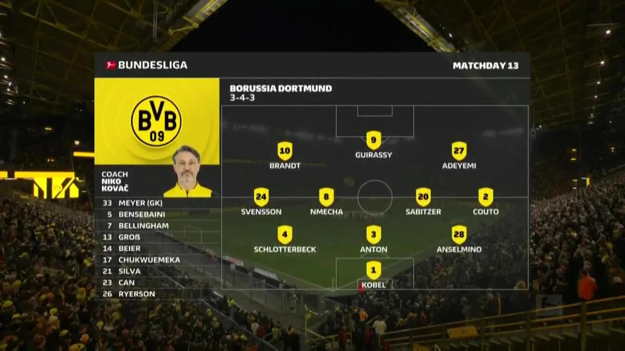 zaslepka skrotu video