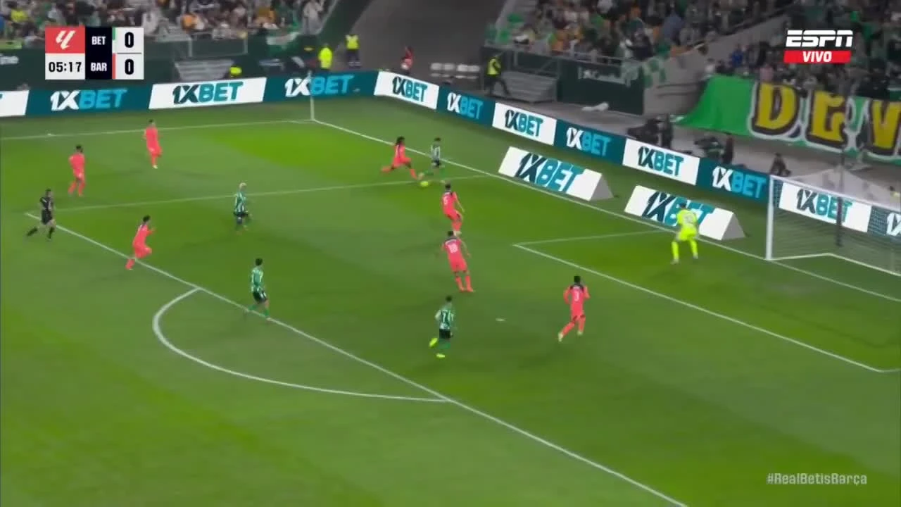 zaslepka skrotu video